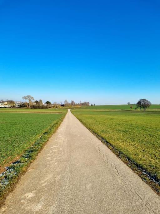 Ruhige, Modern Eingerichtete 2 Zimmer Wohnung Im Untergeschoss Eines Zweifamilienhauses Hildrizhausen Экстерьер фото